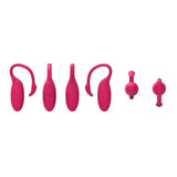 Flamingo - APP Bluetooth Remote Control G-spot Clitoris Vibrator Smart Stimulator Vagina Massager Jumping Egg