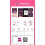 Flamingo - APP Bluetooth Remote Control G-spot Clitoris Vibrator Smart Stimulator Vagina Massager Jumping Egg